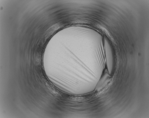 X0000088360833200706191216