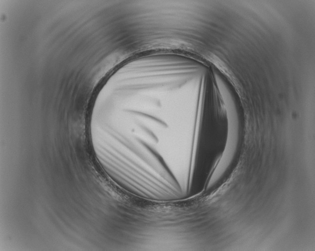 X0000088360834200706191216