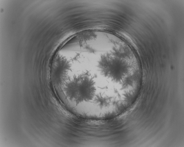 X0000088360835200706191216