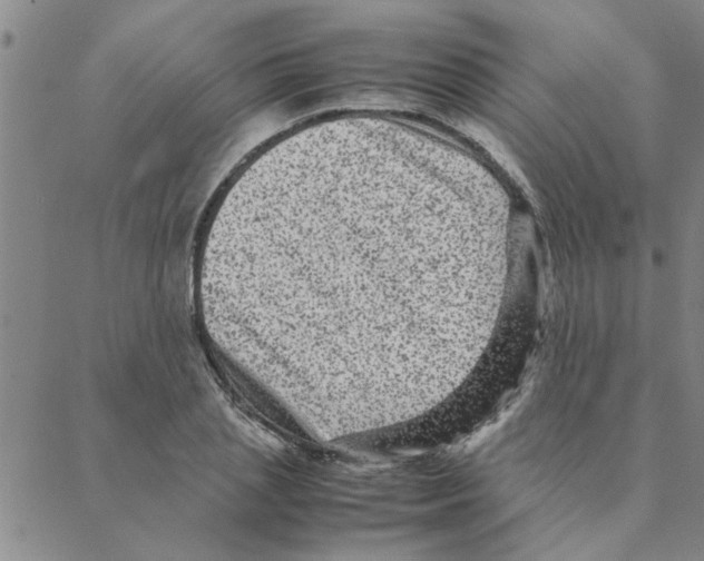 X0000088360837200706191216