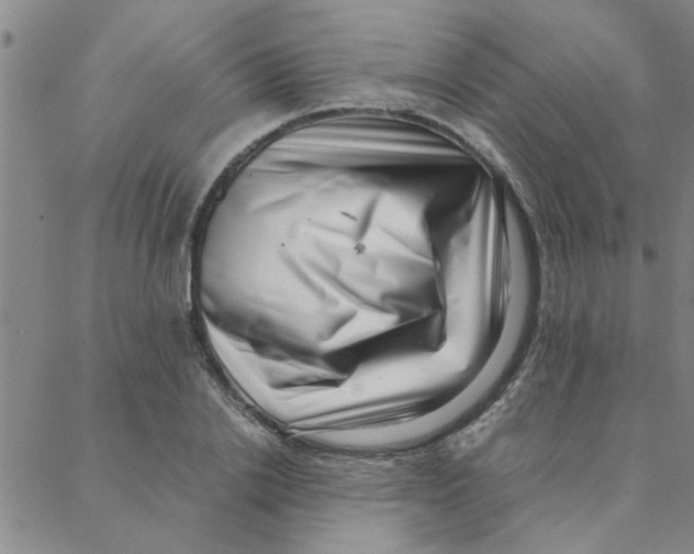 X0000088360838200706191216