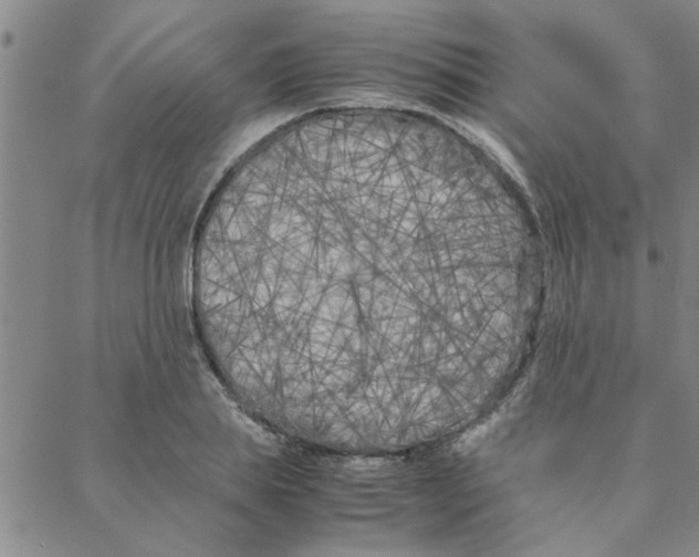 X0000088360839200706191216