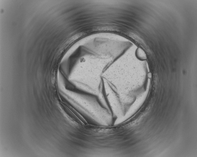 X0000088360841200706191216
