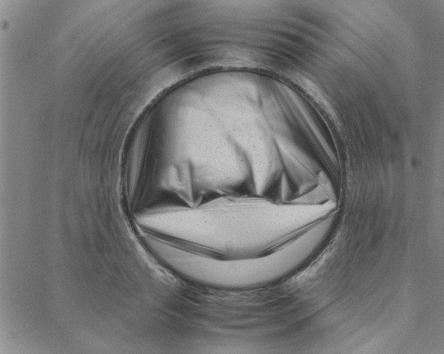 X0000088360845200706191216