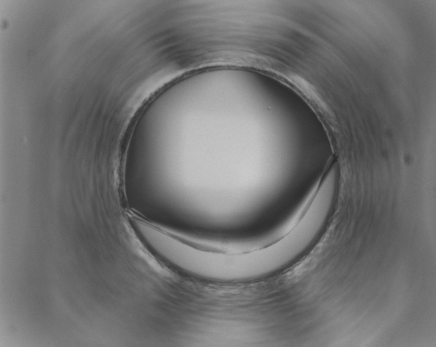 X0000088360846200706191216