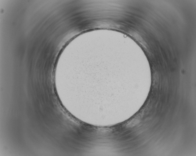 X0000088360848200706191216
