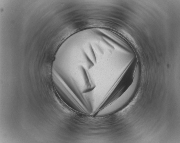 X0000088360849200706191216