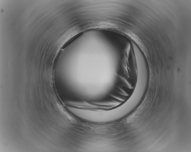 X0000088360850200706191216