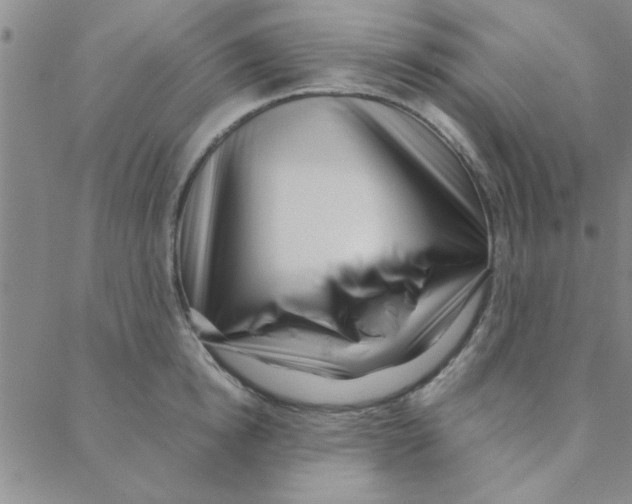 X0000088360854200706191216