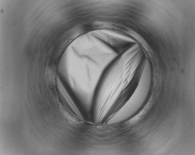 X0000088360857200706191216