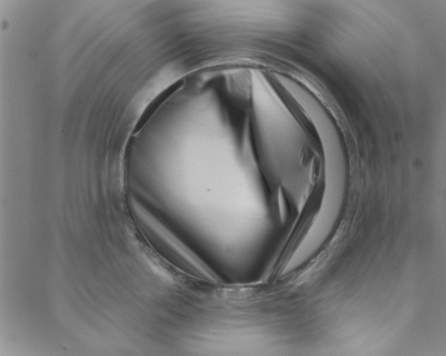 X0000088360858200706191216