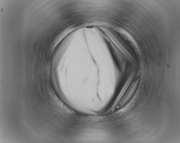 X0000088360860200706191216