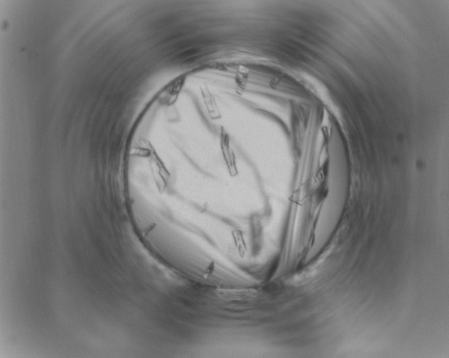 X0000088360863200706191216