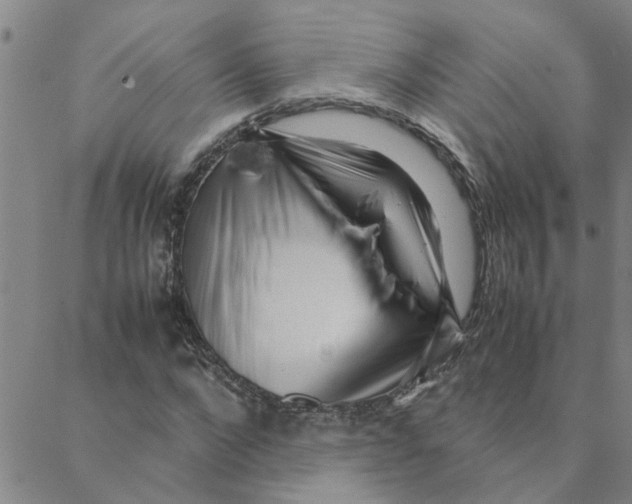 X0000088360872200706191216