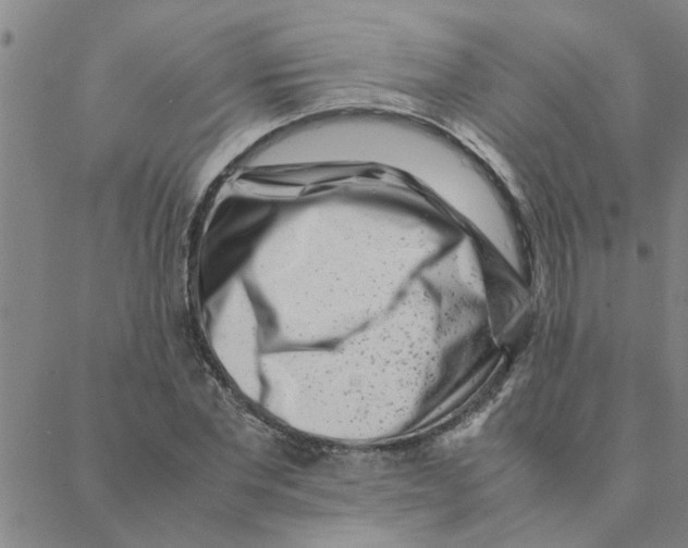 X0000088360877200706191216