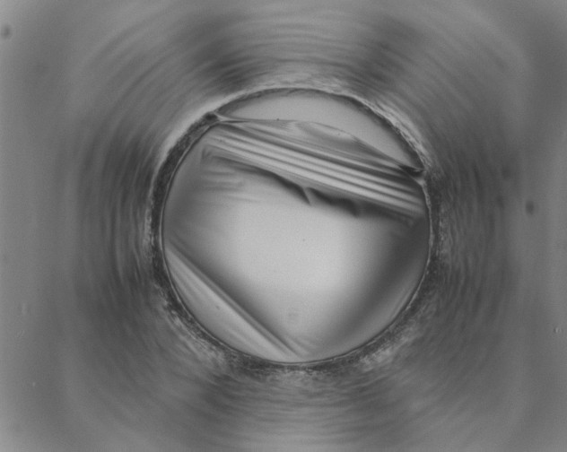 X0000088360880200706191215