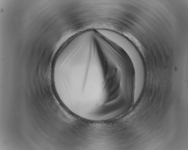 X0000088360894200706191215