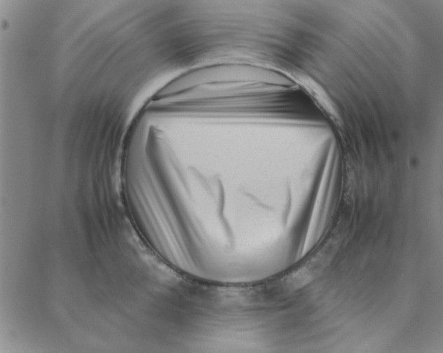 X0000088360904200706191215