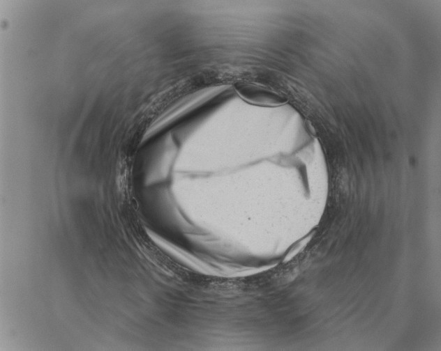 X0000088360914200706191214