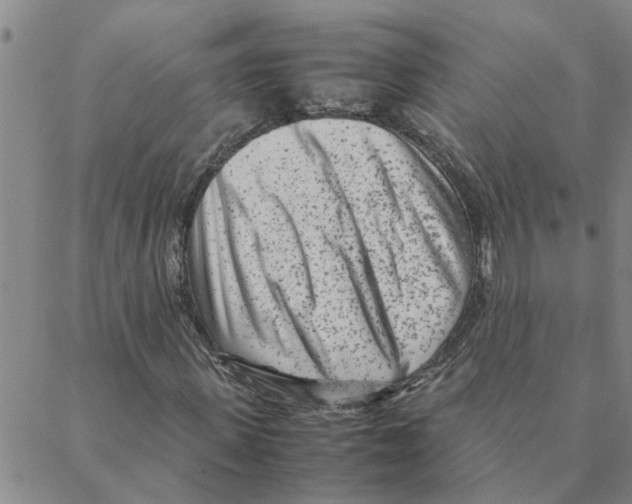 X0000088360915200706191214