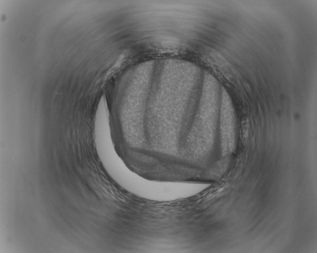 X0000088360916200706191214