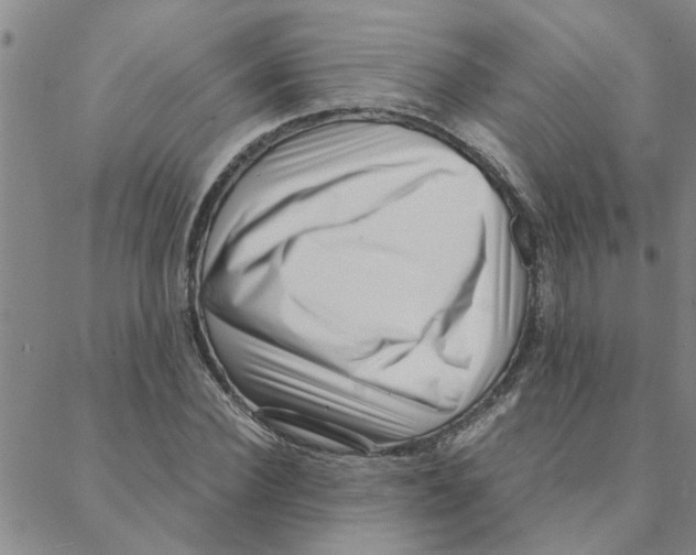 X0000088360924200706191214