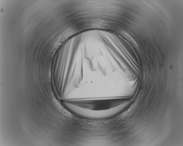 X0000088360938200706191215
