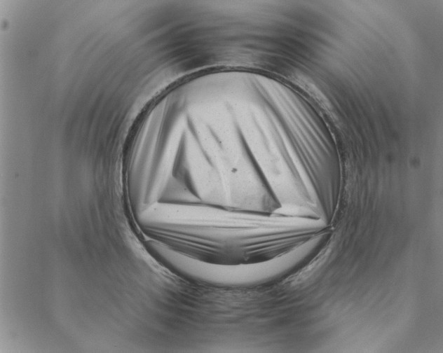 X0000088360939200706191215