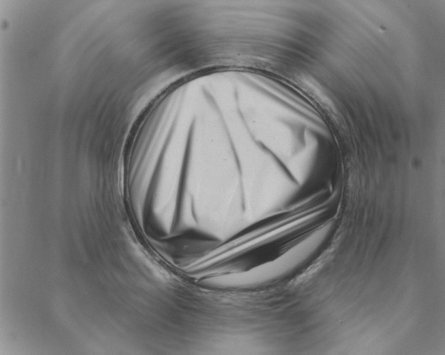 X0000088360940200706191215