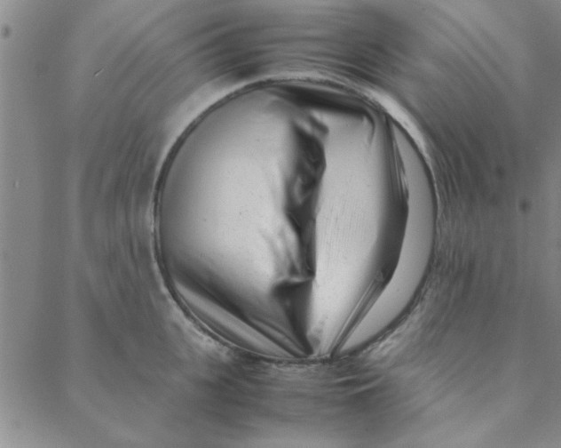 X0000088360951200706191215