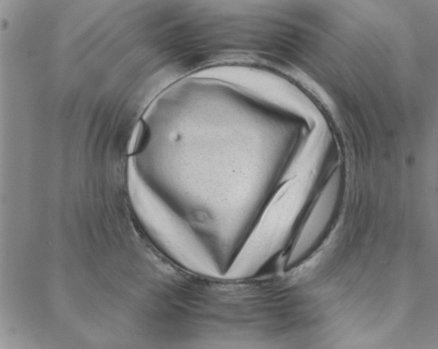 X0000088360953200706191215