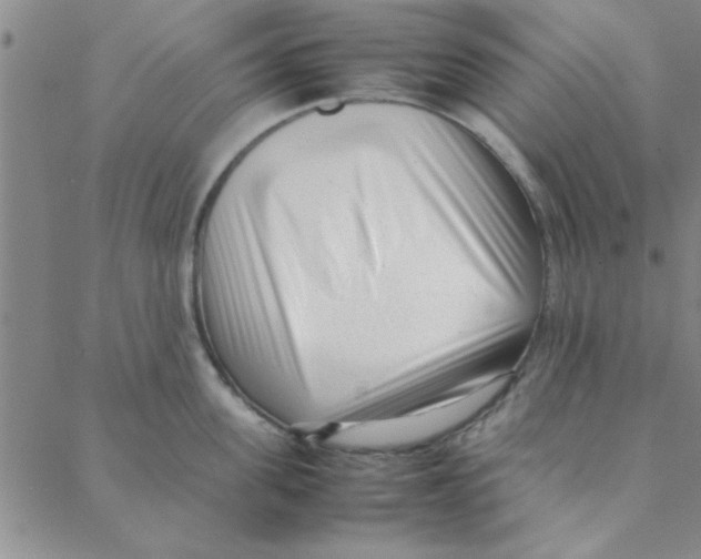 X0000088360955200706191215
