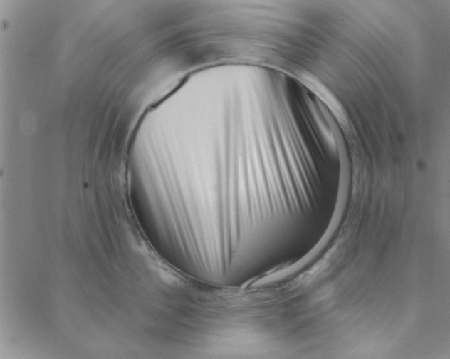 X0000088360956200706191215
