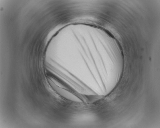 X0000088360960200706191215