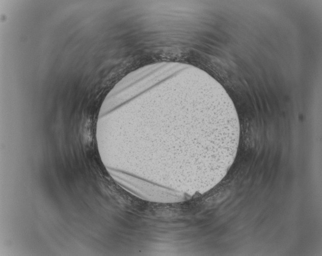 X0000088360962200706191214