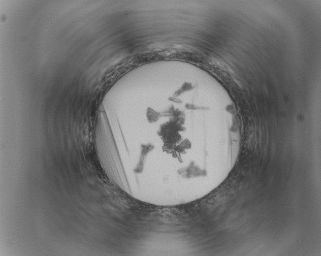 X0000088360966200706191214