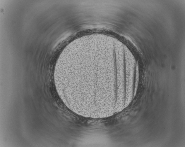 X0000088360967200706191214