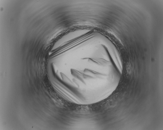 X0000088360968200706191214