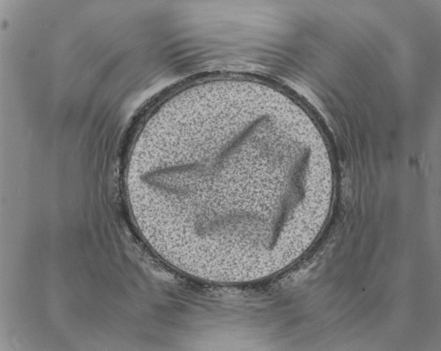 X0000088360971200706191214