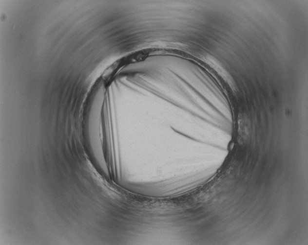 X0000088360972200706191214