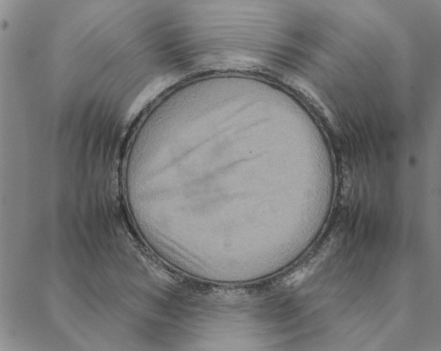 X0000088360978200706191214