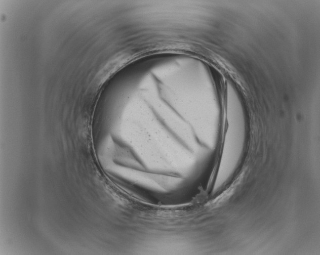 X0000088360985200706191214