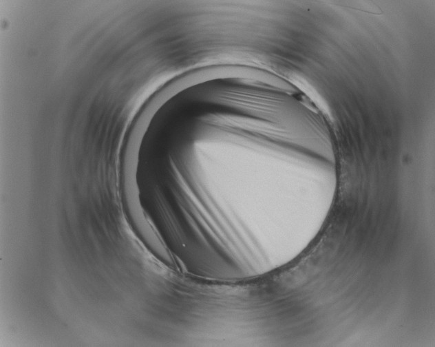 X0000088360996200706191214