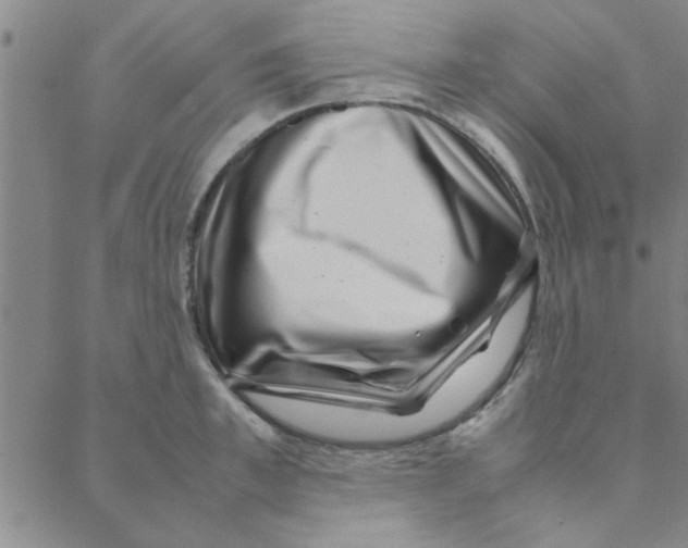 X0000088360997200706191214