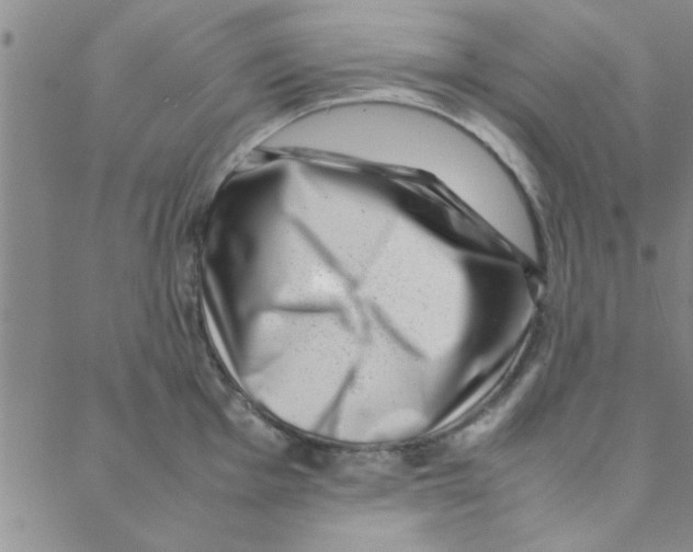 X0000088361001200706191214