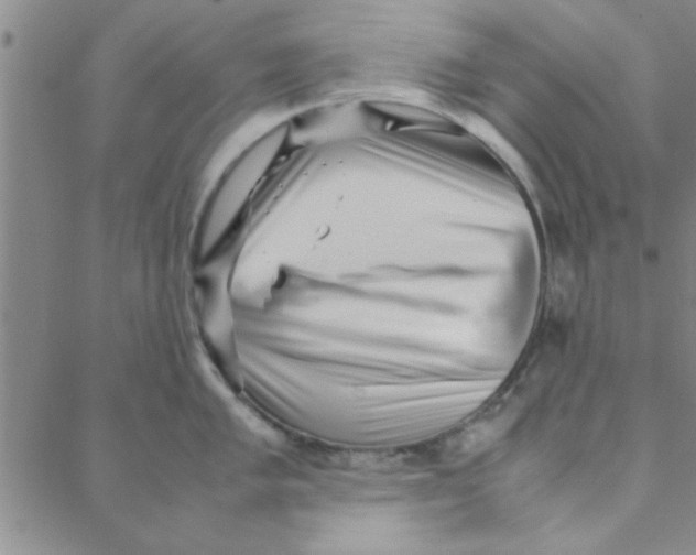 X0000088361005200706191213