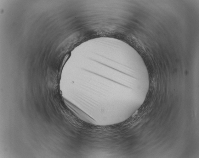 X0000088361012200706191213