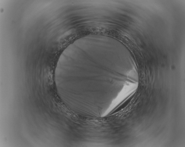 X0000088361013200706191213
