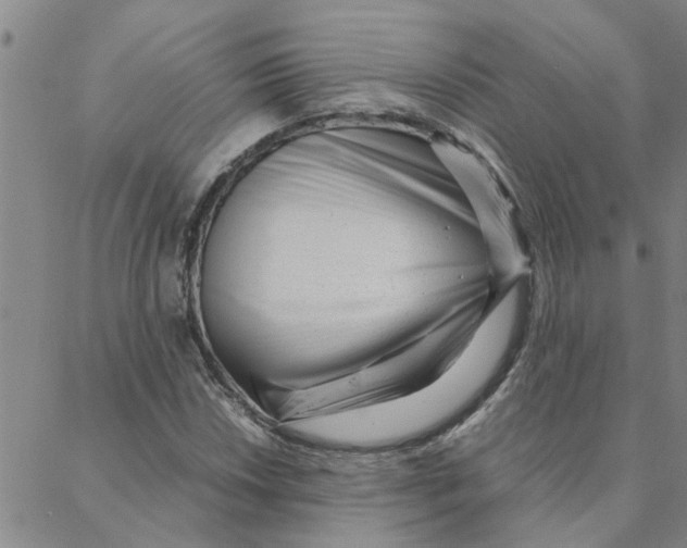 X0000088361018200706191213