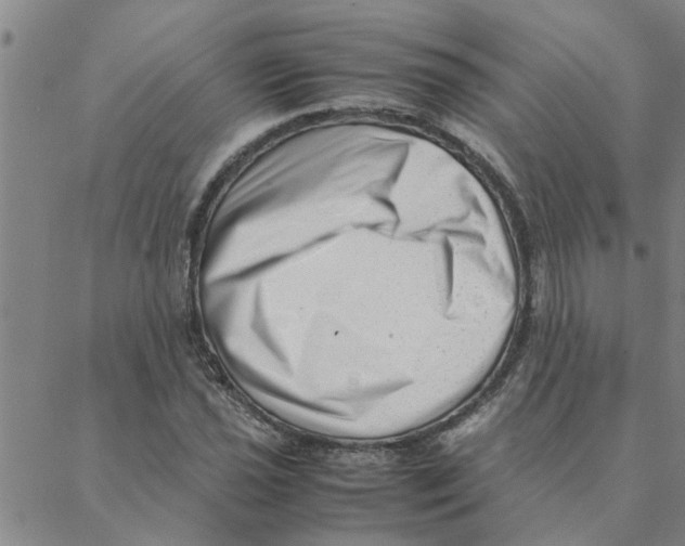 X0000088361021200706191213